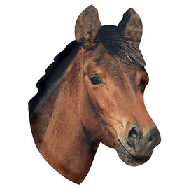 Paper House Productions 3.5" x 2.5" Die-Cut Horse Head Shaped Magnet for Refrigerators and Lockers
