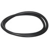 Waterway Plastics 806105244048 Pro Clean Lid O-Ring