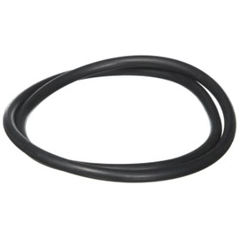 Waterway Plastics 806105244048 Pro Clean Lid O-Ring