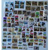 100 Different Horse Stamps Collection (Stamps for Collectors)