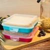 QILZO® Pack of 3 Units Sandwich Holder, Lunch Holder, Snack