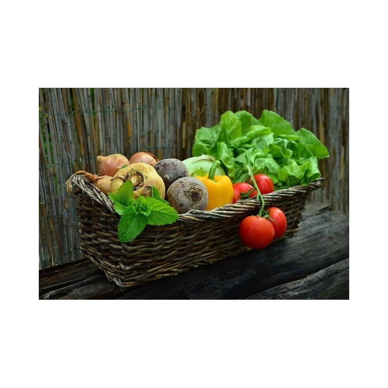 Set of 12 Squash- Zucchini Vegetable Seed Packs - Create