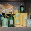 DR.TAFFI Organic Additive-Free Body Soap, Bath Soap (Refreshing Citrus Sporting