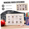 CIYODO 12pcs Educational Rock Collection Kit Mineral Rock Specimens for