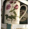 Kent Pottery 2PC Mug With Matching Lid - Rosa Indica