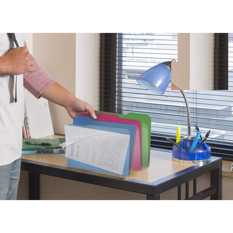 Find It Clear View File Folder with Clear Front Sheet,