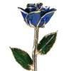 24k Gold Rose - Real Rose Dipped in Gold (Dark