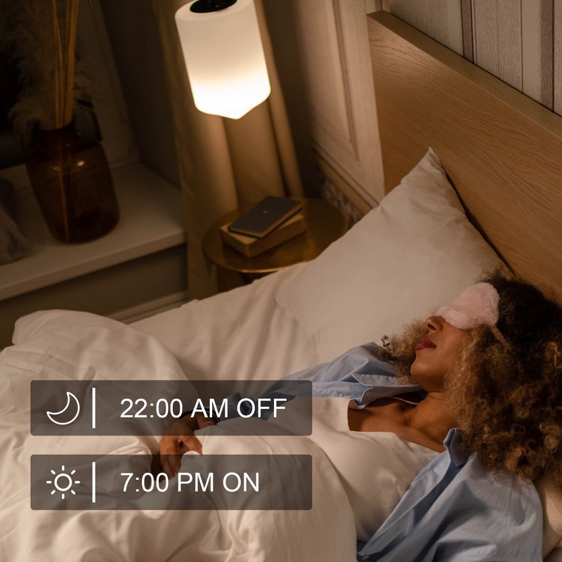 WiFi Dimmer Smart Plug Compatible with Alexa Google Home for