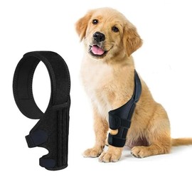 Protector de Patas traseras para Perros con displasia de Cadera, Alivia el Dolor de Artritis, osteoartritis y Lesiones de ligamentos, Soporte de Neopreno Ajustable (L)