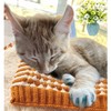VICTHY 160pcs(16 Colors) Cat Nail Caps Cat Claw Caps Cat