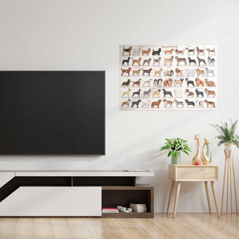 (24x36) Laminated Dogs of the World Educational Animal Chart Poster