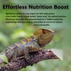 Pleasantly War Bee Pollen for Bearded Dragons and Amphibians, Natural
