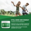 VIMERGY Vimergy Barley Grass Juice Powder, Trial Size - 30
