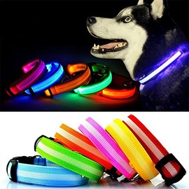 Bunty Adjustable LED Flashing Light Safety Luminous Dog Puppy Pet Glowing Collar - Blue - Small