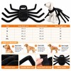 Halloween Spider Pet Costume for Cats & Dogs – Funny