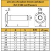 AGBERG - M3 x 35 pan head screws with flange