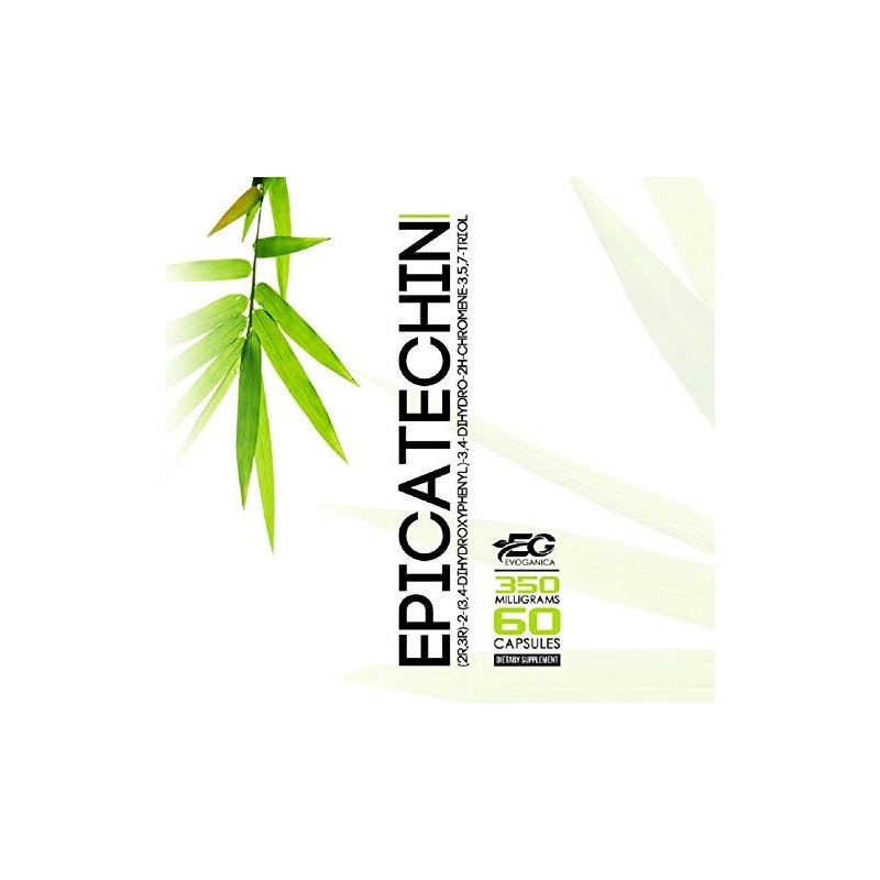 EPICATECHIN (350mg x 60ct) by EVOGANICA