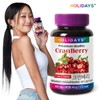 Holidays 홀리데이즈 크랜베리 타블렛 90정 1병 (3개월분) Holidays Cranberry Tablet