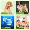 Probiotics for Dogs, 3 in 1 Dog Probiotic and Digestive