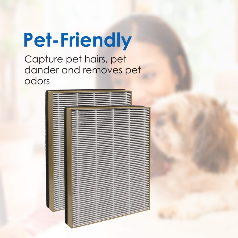 Flintar TT-AP002 H13 True HEPA Replacement Filter, Compatible with TaoTronics