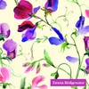 Emma Bridgewater Sweet Pea Cream Flowers Cocktail or Tea Napkins