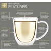 Teabloom Double Walled Borosilicate Glasses – Set of 2 Insulated