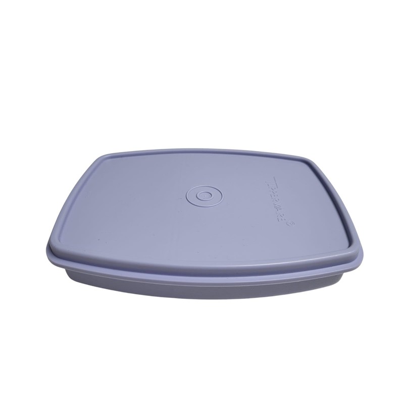 Tupperware to Go Lunch Box Clever Break 590 ml with