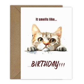 Tashchow Funny Happy Birthday Card for Him Her Cute Cat ‘It smells like...BIRTHDAY!!!’ with Sticker and 5x7 Inch Envelope