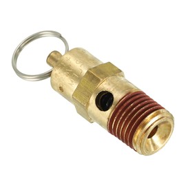 PATIKIL 1/4" Male NPT Safety Valve, Air Pressure Release Valve for Air Compressor, 250PSI Set Pressure