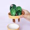 Kelendle Ceramic Cactus Measuring Spoons with Holder Set of 5
