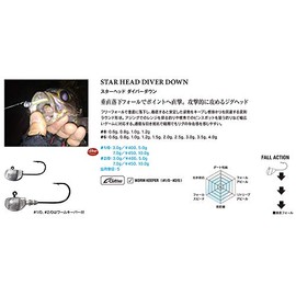 XESTA Jig Head Black Star Head Touchdown #6 3.5g