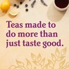 Yogi Tea - Ginger Tea (3 Pack) - Caffeine Free