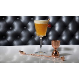 RCR Crystal Glassware Tattoo Wine Goblet Glasses, 29 CL / 290 ML, Set of 6