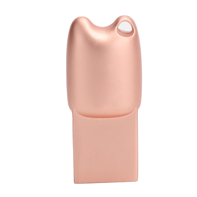 Flash Disk USB2.0 Interface Plugin Free Drive Cartoon U Disk