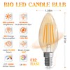 GvvooHome E12 Candelabra Bulb 40 watt Equivalent, B10 Candle Light