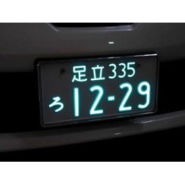Racing Gear RGH-P806 Ministry of Infrastructure LED License Plate for Passenger Car 24V Frameless 1 Piece