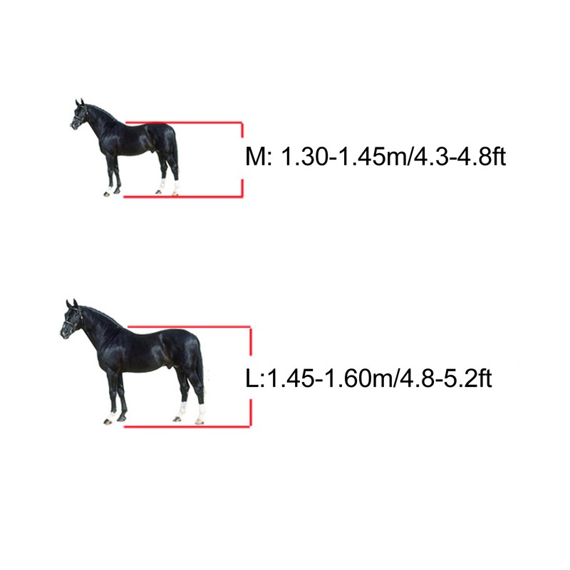 Horse Tendon Boots Shock Absorbing Adjustable Horse Front Hind Boots
