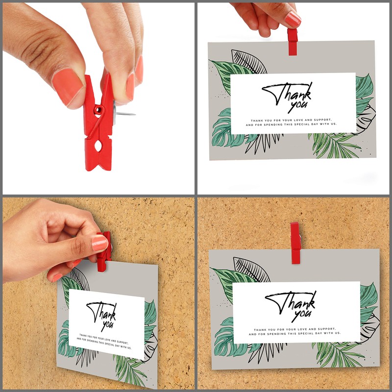 Belle Vous 70 Pack Wooden Multicolour Peg Clips with Push