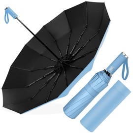 Poligono Windproof Umbrella Automatic Open and Close for Men and Women, Compact, 12 Bone Umbrella, Large, Diameter 105 cm, sky blue