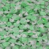 Smarty Stop Salt Water Taffy Every Color (Green Apple, 1