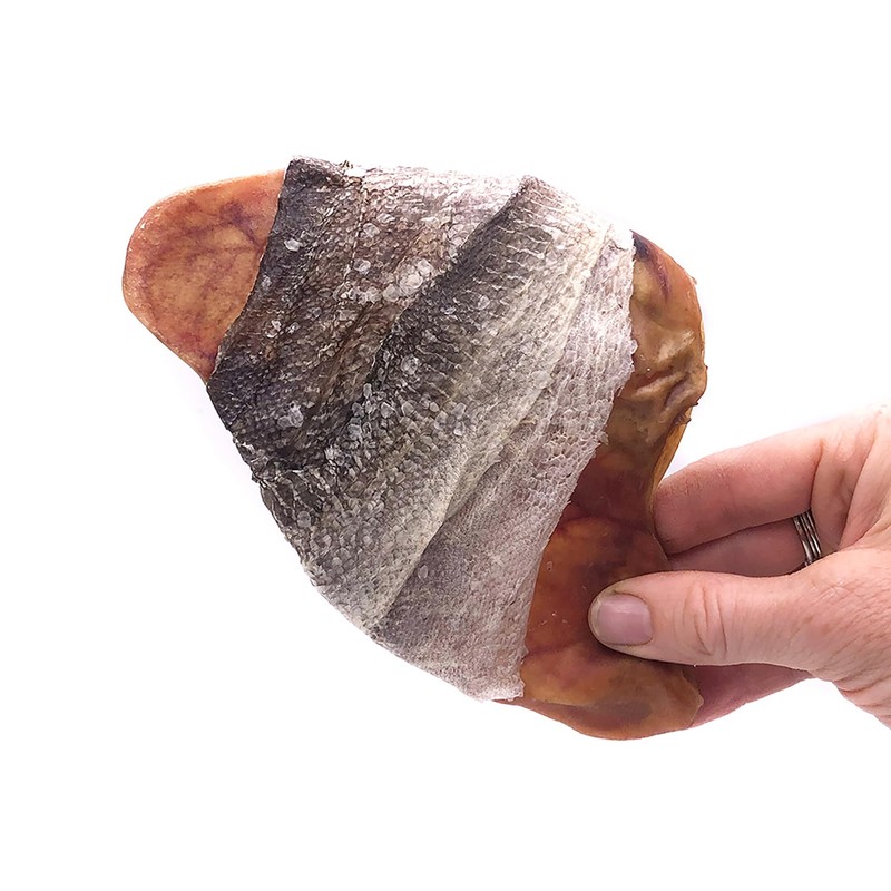 Icelandic+ Fish Ear - Pig Ear Hand-Wrapped in Cod Skin