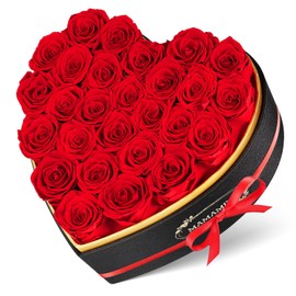 MAMAMIKO 27 Preserved Roses in Heart Shape Gift Box for Her - Forever Flowers for Delivery, Eternal Rose for Mom, Wife Anniversary Birthday Day Gifts for Women, Red
