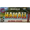 Hawaii State Novelty Metal License Plate Tag LP-7810