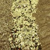 Gold - Greener Glitter 100% Plant not Plastic, No Guilt