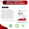 Multi-Strain Gut Support Bacterium (30 Capsules) Soothes & Supports Gut,