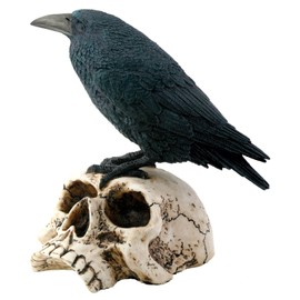 Raven on Skull Collectible Bird Crow Skeleton Figurine Statue Model