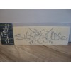 Salt Life Decal - 12" Medium Surface Mount Sticker -