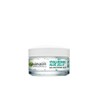 Garnier Hyaluronic Aloe Jelly Moisturizing Gel for Normal and Mixed