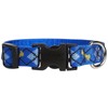 LupinePet Originals 3/4" Dapper Dog 13-22" Adjustable Collar for Medium