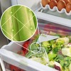 Ziploc Food Storage Produce Bags, Seal Top to Keep and